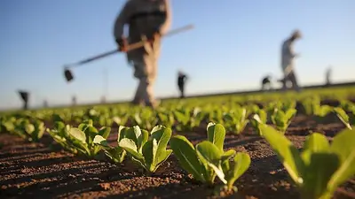 Instituto PAIPPA, el organismo formoseño que ayuda a los productores tras el temporal que afectó a la provincia Instituto PAIPPA, el organismo formoseño que ayuda a los productores tras el temporal que afectó a la provincia