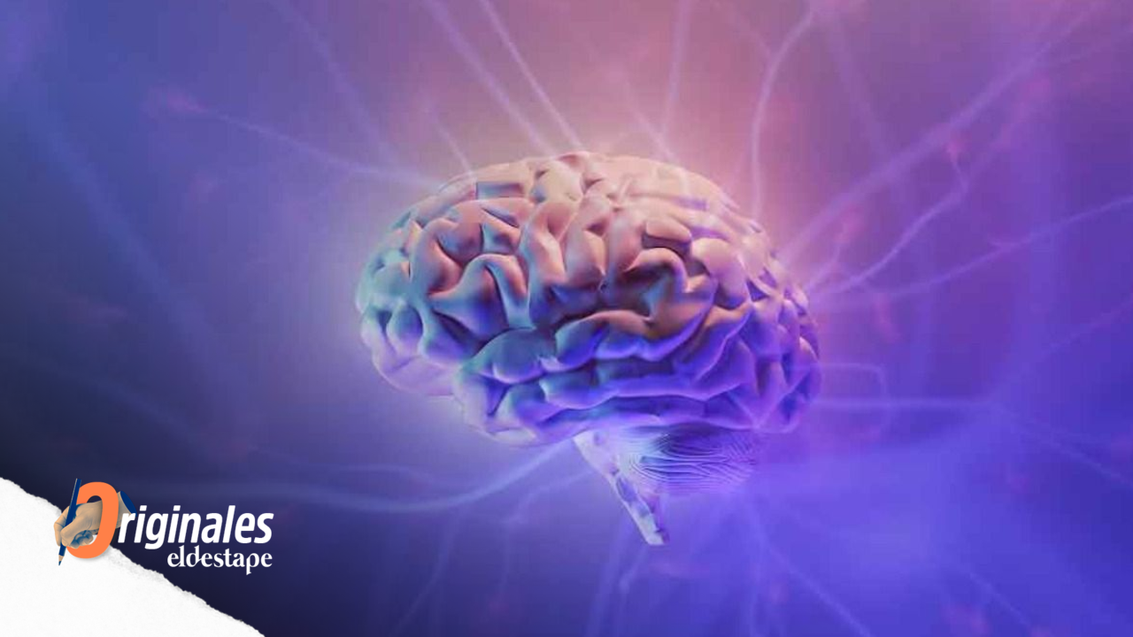 Día Mundial para la concienciación de la Epilepsia. 