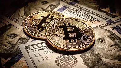 Elecciones bonaerenses: el precio del dólar cripto anticipa los resultados Elecciones bonaerenses: el precio del dólar cripto anticipa los resultados