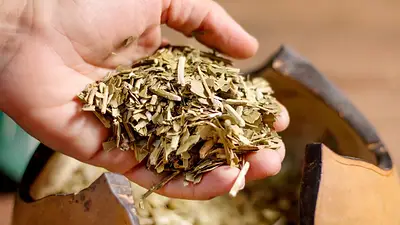 ALERTA ANMAT. Prohibió un aceite de oliva y una marca de hierbas saborizadas. C ALERTA ANMAT. Prohibió un aceite de oliva y una marca de hierbas saborizadas. C