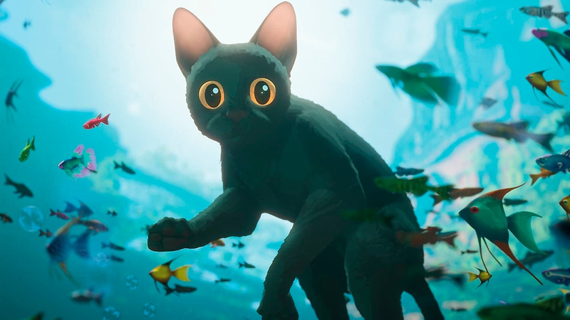 Premios Oscars 2025: "Flow", una obra de arte de animación que le ganó a los monstruos industriales