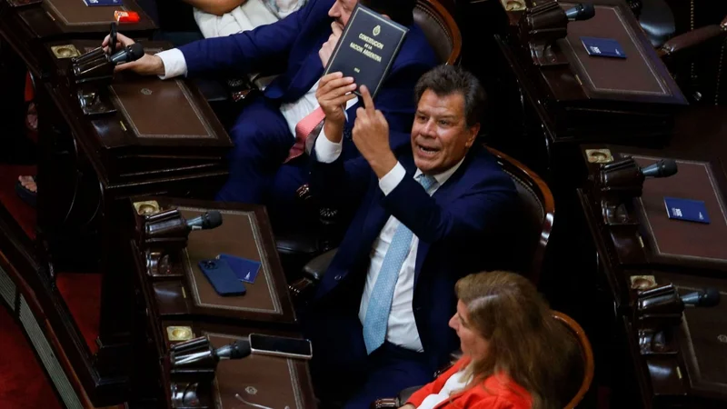 Facundo Manes Congreso