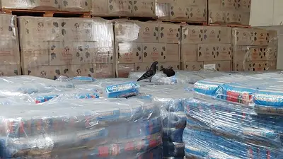 Nueva denuncia contra el Gobierno de Milei por dejar vencer alimentos en depósitos Nueva denuncia contra el Gobierno de Milei por dejar vencer alimentos en depósitos