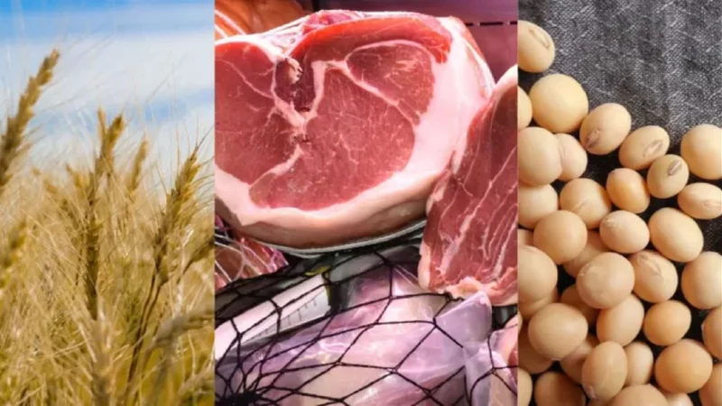 Récord de exportación: Buenos Aires cerró 2024 con un fuerte crecimiento impulsado por el agro