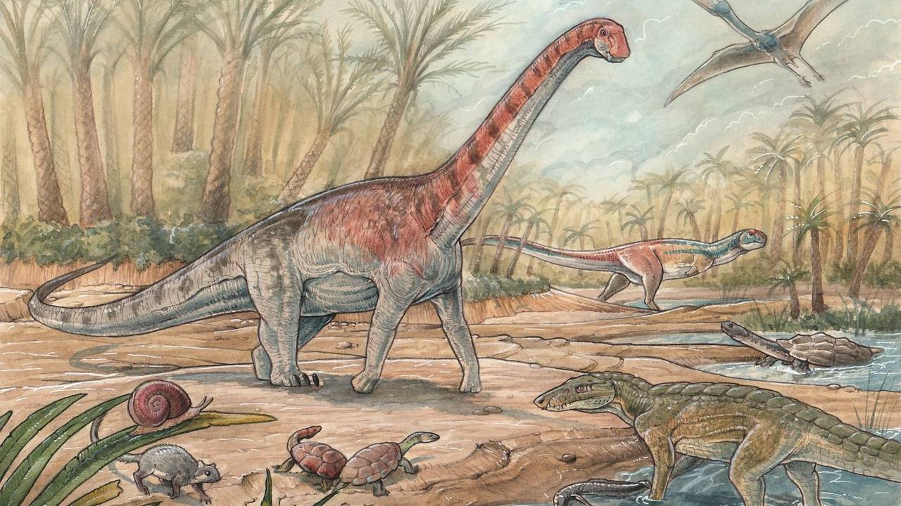 Recuperan una “instantánea” de la vida en la Patagonia hace 75 millones de años