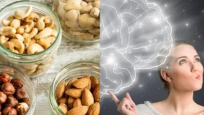 Frutos secos y cerebro Frutos secos y cerebro