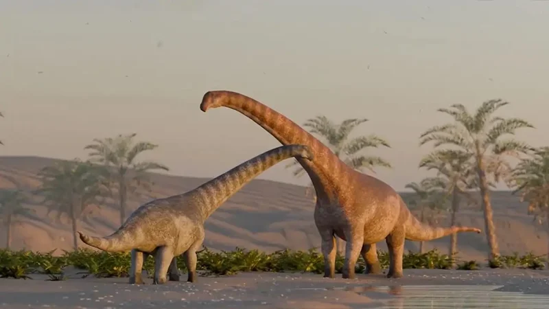Dinosaurios, tortugas gigantes y peces prehistóricos: el asombroso hallazgo de hace 75 millones de años en Río Negro