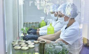 Desarrollo, acompañamiento y trabajo: el CEDEVA celebra su 28° aniversario | Productores