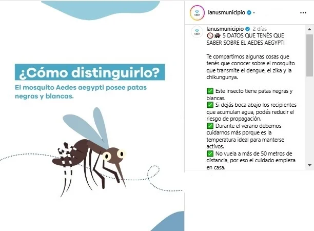 mosquito, dengue, insectos, enfermedades