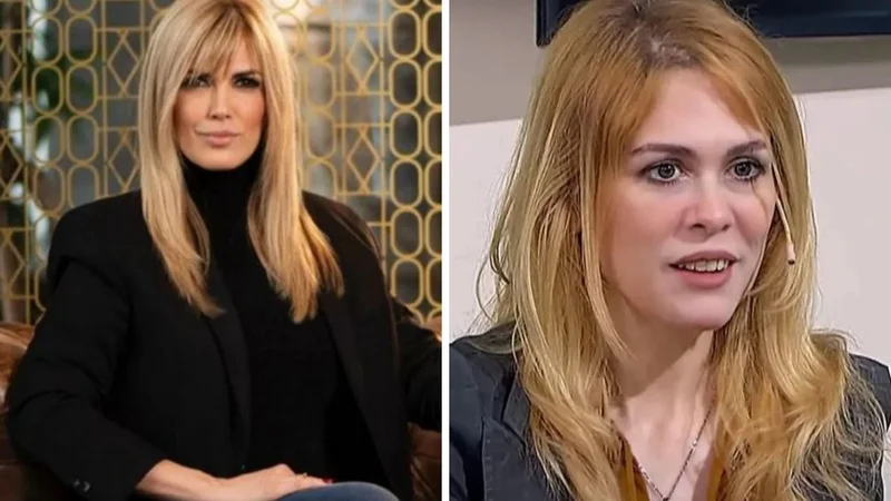 Qué pasó entre Viviana Canosa y Lilia Lemoine.
