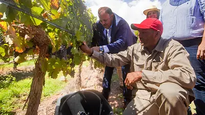 Vendimia 2025: Quintela inauguró la cosecha en La Rioja y confirmó asistencia para productores afectados por el temporal Vendimia 2025: Quintela inauguró la cosecha en La Rioja y confirmó asistencia para productores afectados por el temporal