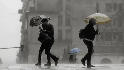 Lluvias Lluvias