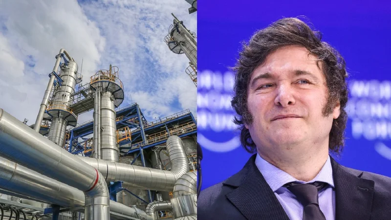 Petrolera y Javier Milei