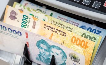 Jubilaciones: la mínima podría llegar a $331 mil, si Milei no veta el proyecto | Jubilaciones