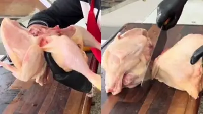 Pollo. Pollo.