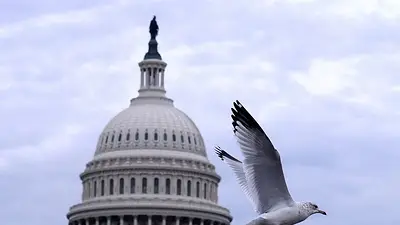 Senado de EEUU avanza en ley de gasto provisional republicana para evitar cierre del Gobierno Senado de EEUU avanza en ley de gasto provisional republicana para evitar cierre del Gobierno