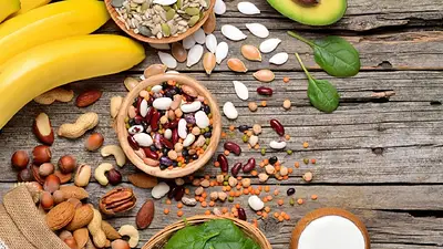 Alimentos Alimentos