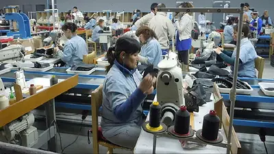 Alerta en la industria del calzado: desde Santa Fe aseguran que el sector atraviesa "un momento muy crítico" Alerta en la industria del calzado: desde Santa Fe aseguran que el sector atraviesa "un momento muy crítico"