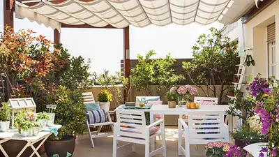 Terraza. Terraza.