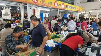 Aumento de la actividad económica en Formosa: la provincia destacó el impacto positivo tras el 45% a estatales Aumento de la actividad económica en Formosa: la provincia destacó el impacto positivo tras el 45% a estatales