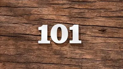 Numerología 101 Numerología 101