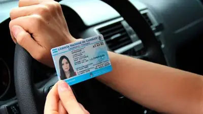 Licencia Licencia