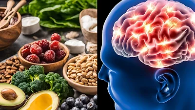 Alimentos e imagen de Cerebro Alimentos e imagen de Cerebro