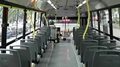 Colectivo Colectivo