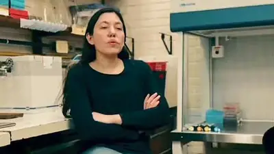 Tras un retuit de Milei, atacaron a una investigadora del Conicet: "Dijeron que me querían joder la vida" Tras un retuit de Milei, atacaron a una investigadora del Conicet: "Dijeron que me querían joder la vida"