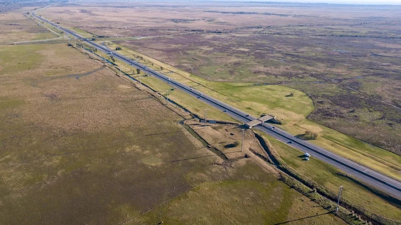 Obras en la autopista Buenos Aires - La Plata