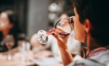 13 vinos argentinos entre los mejores del mundo: dónde conseguirlos | Argentino
