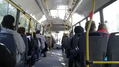 Colectivo Colectivo