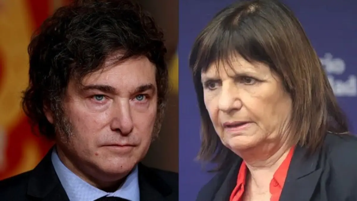 Bullrich DESCONOCIÓ A MILEI con una terrible frase y ENCIENDE LA INTERNA |  El Destape