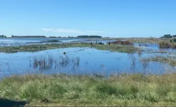 Inundaciones: declaran la emergencia en la provincia de Buenos Aires | Inundaciones