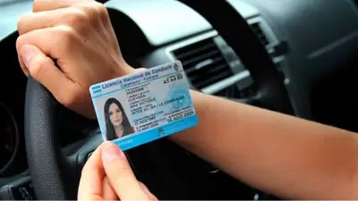 Licencia de Conducir Licencia de Conducir