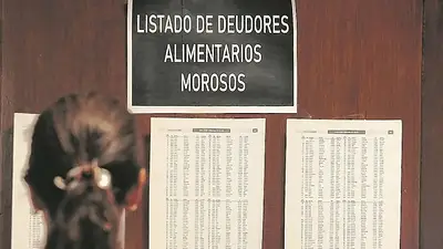 Avance histórico: la Provincia de Buenos Aires realizó un cambio en el ingreso del Registro de Deudores Alimentarios Morosos Avance histórico: la Provincia de Buenos Aires realizó un cambio en el ingreso del Registro de Deudores Alimentarios Morosos