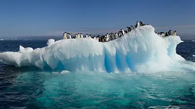 Qué encontraron en un iceberg en la Antártida. Descubrimiento en un iceberg de la Antártida. Qué encontraron en un iceberg en la Antártida. Descubrimiento en un iceberg de la Antártida.