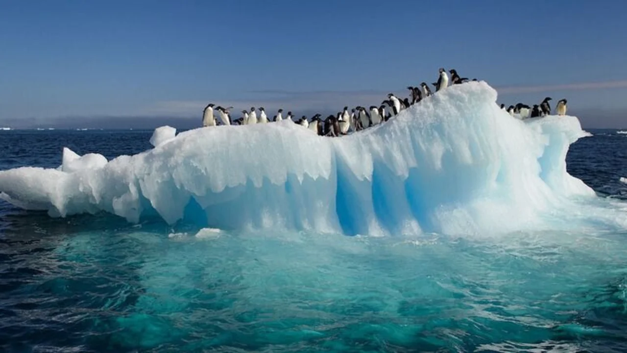 Qué encontraron en un iceberg en la Antártida. Descubrimiento en un iceberg de la Antártida. 