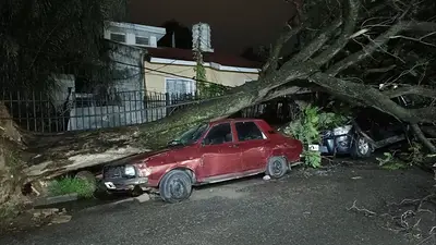 Fuerte temporal azotó a la provincia de Córdoba. Fuerte temporal azotó a la provincia de Córdoba.