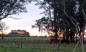 Dónde queda y qué hacer en Emilio Ayarza: para una escapada express | Escapadas