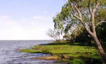 CAME calificó el movimiento del fin de semana largo como de “baja intensidad” | Crisis económica