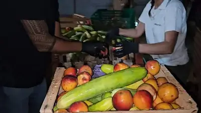 Con programas públicos y acción civil, Misiones recuperó más de 125 mil kilos de alimentos y fortalece la asistencia social Con programas públicos y acción civil, Misiones recuperó más de 125 mil kilos de alimentos y fortalece la asistencia social