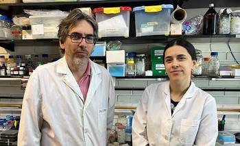 Ciencia argentina: logran estabilizar la proteína clave en la ataxia | Salud