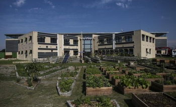 A 20 minutos del Obelisco: el paseo gratuito para conectar con la naturaleza | Ciudad de buenos aires