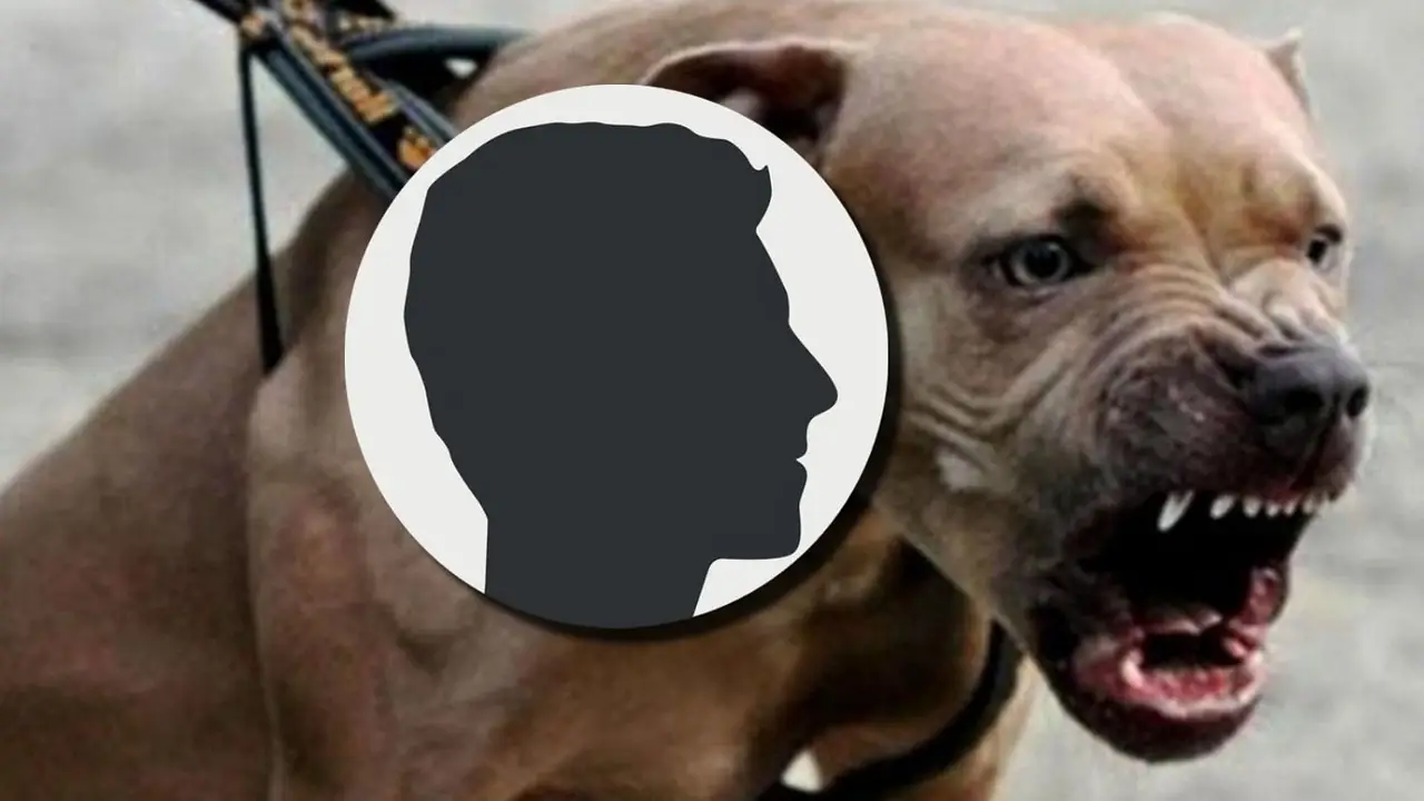 Perro muerde a famoso argentino y así lo dejó.