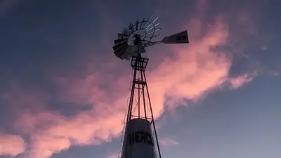 campo campo
