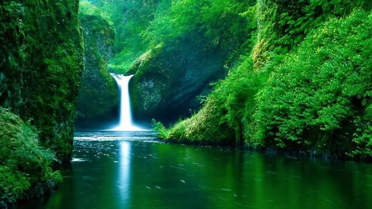 Naturaleza