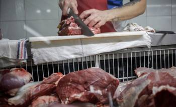 Carne a precio imposible: denuncian que hay menos ganado que en el Gobierno anterior | Crisis económica