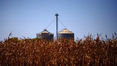 La ampliación del conflicto con Irán amenaza las exportaciones de cereales y el suministro de fertilizantes de Brasil La ampliación del conflicto con Irán amenaza las exportaciones de cereales y el suministro de fertilizantes de Brasil