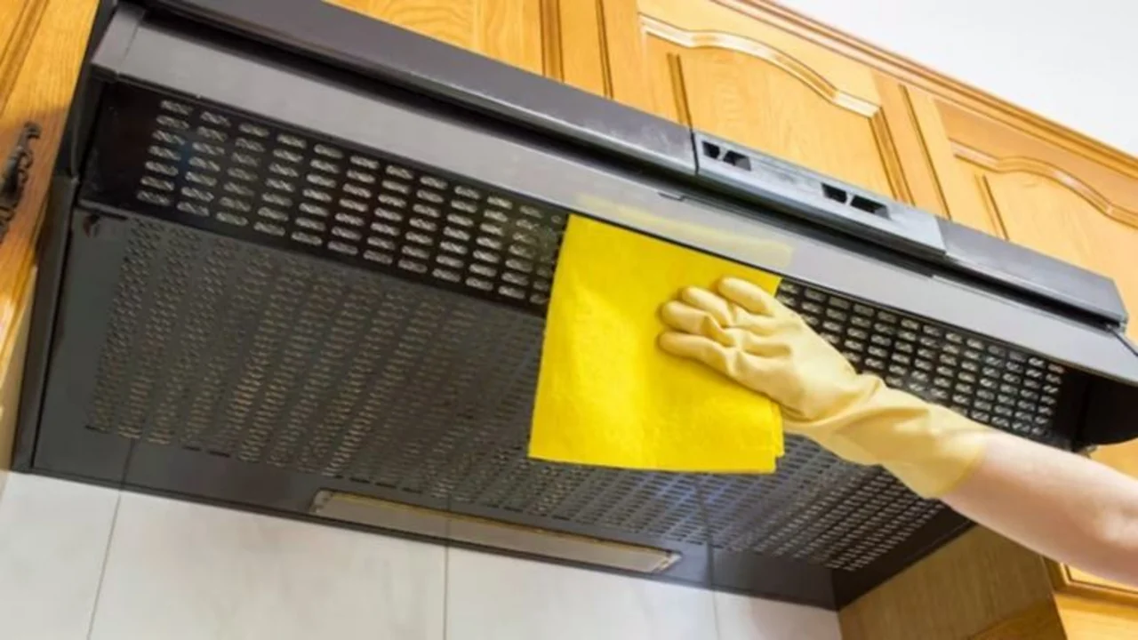 extractor